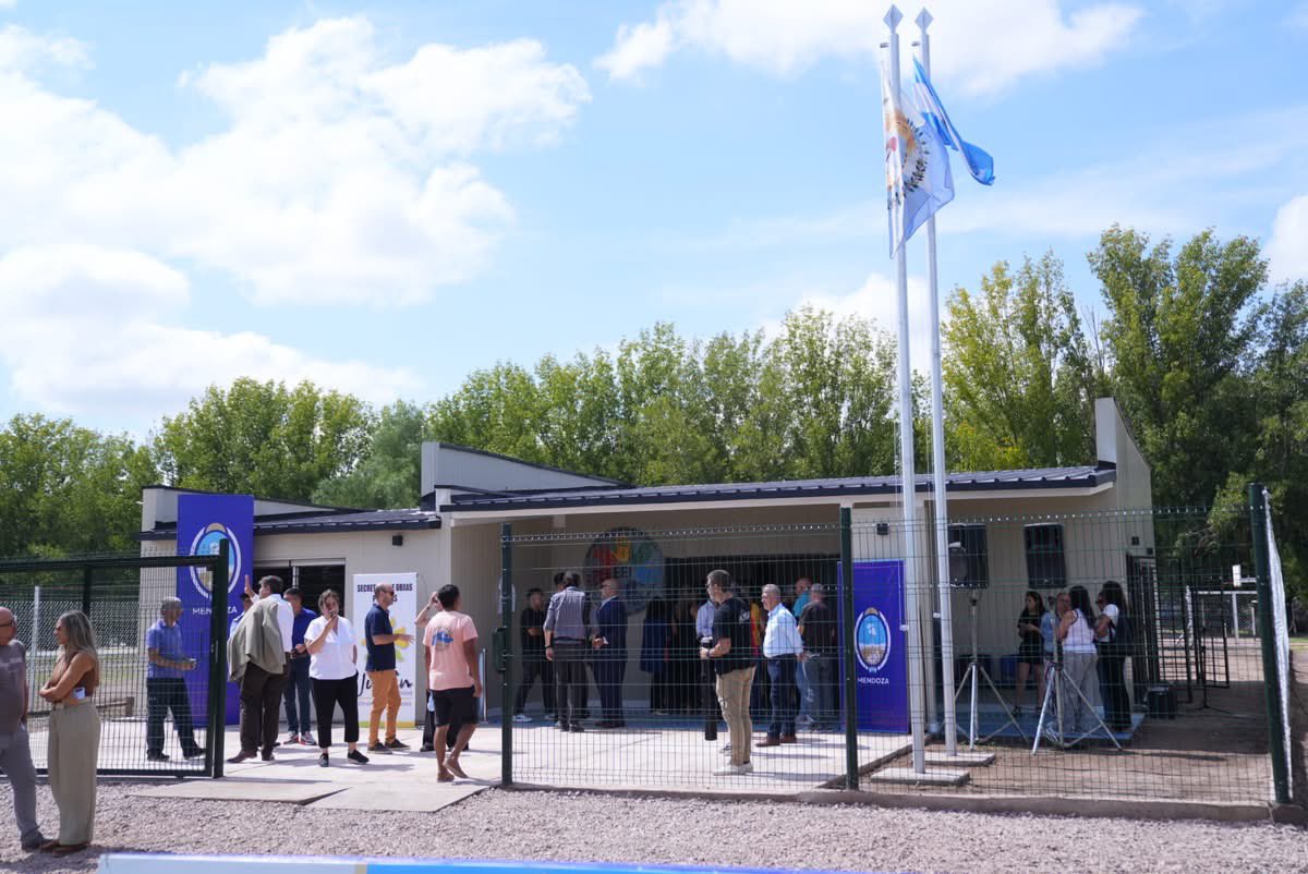 Mario Ana tweet media