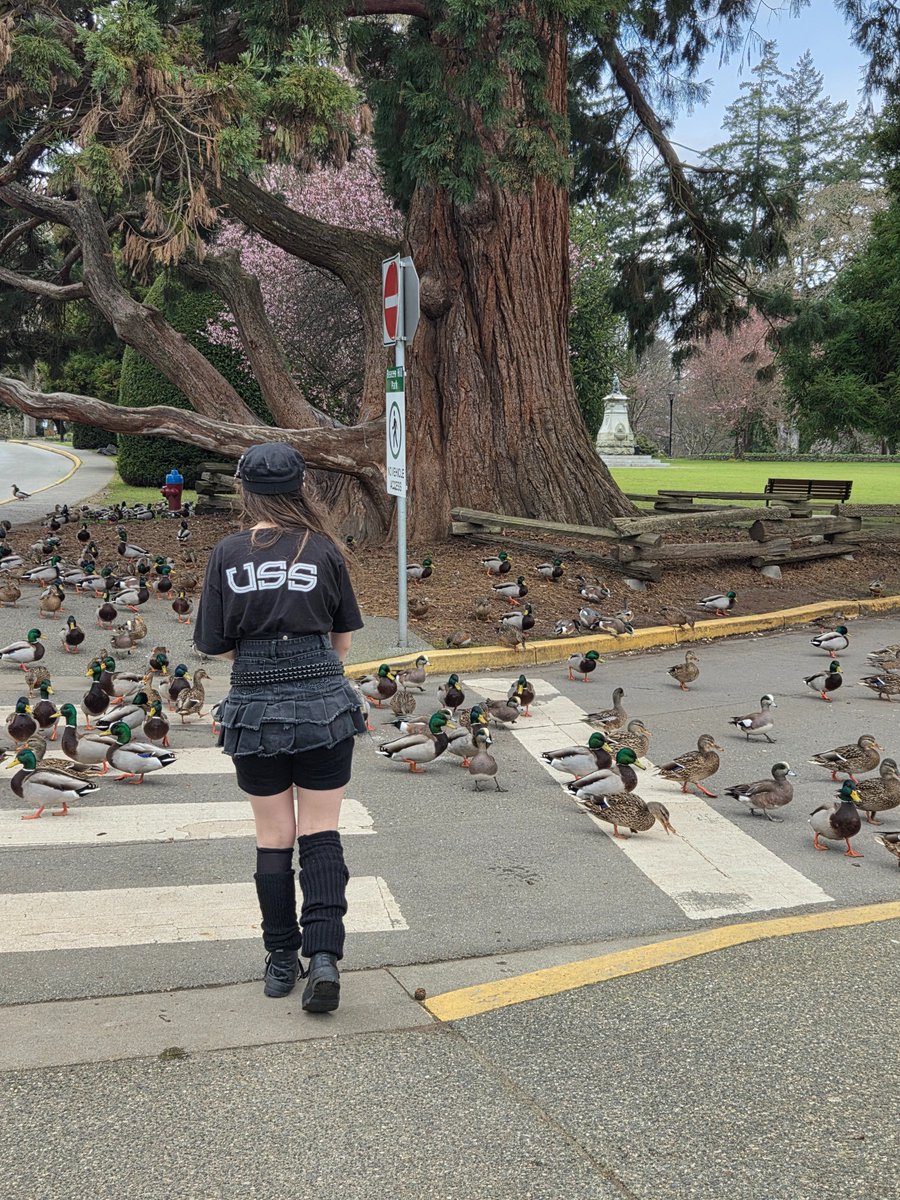 Hoffman in Surrey tweet media