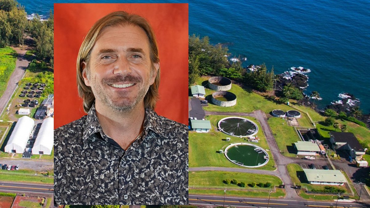 University of Hawaii at Hilo tweet media