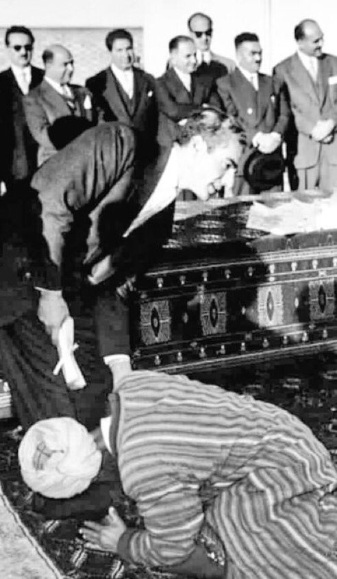 نیکان👑🇮🇷 tweet media