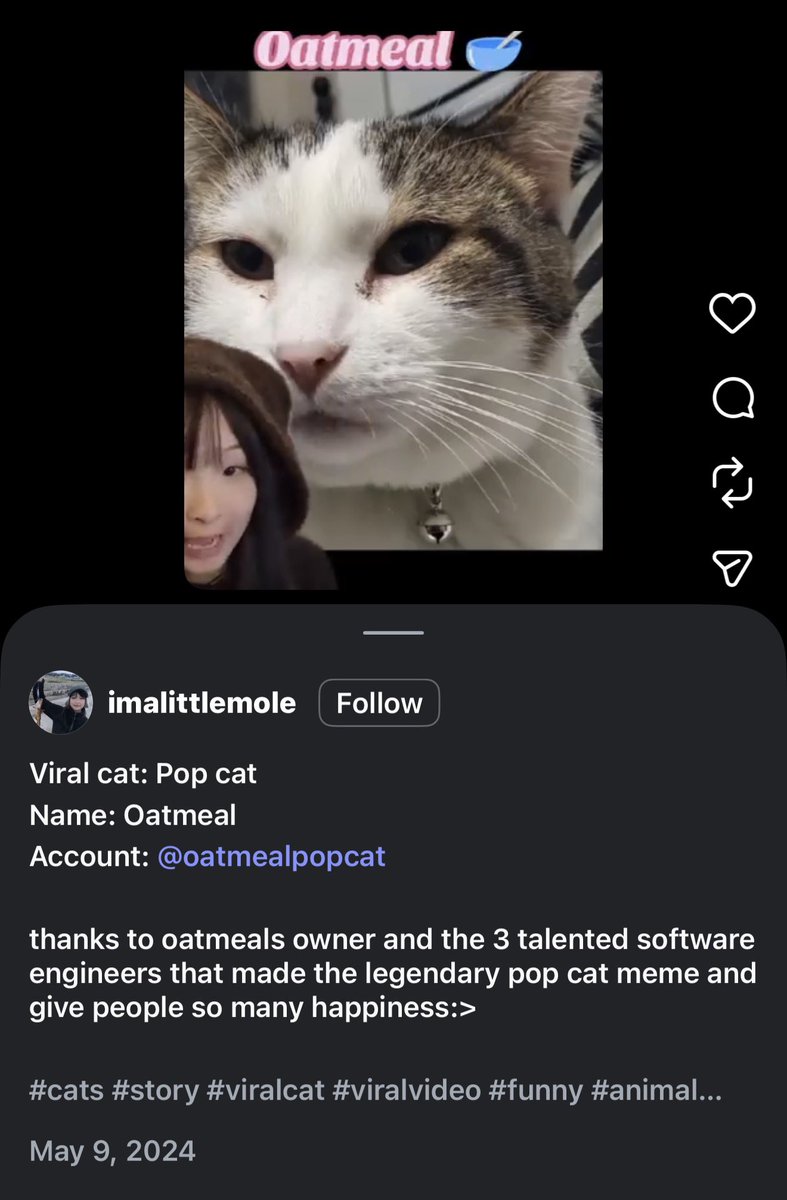 SpiderCrypto 🧑‍🍳🧲 tweet media