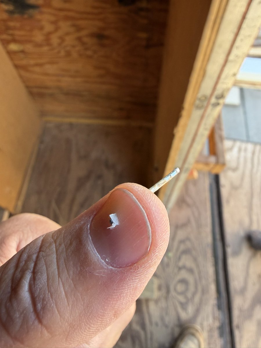 Jesus of Manhattan tweet media