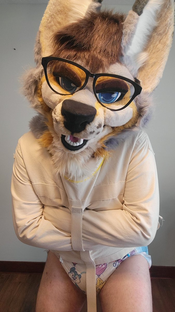 🐾 BigMeanDog tweet media