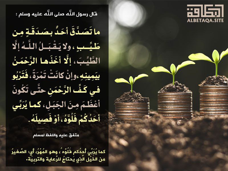 ام عاصم السلفية /احب الدعوة إلى الله tweet media