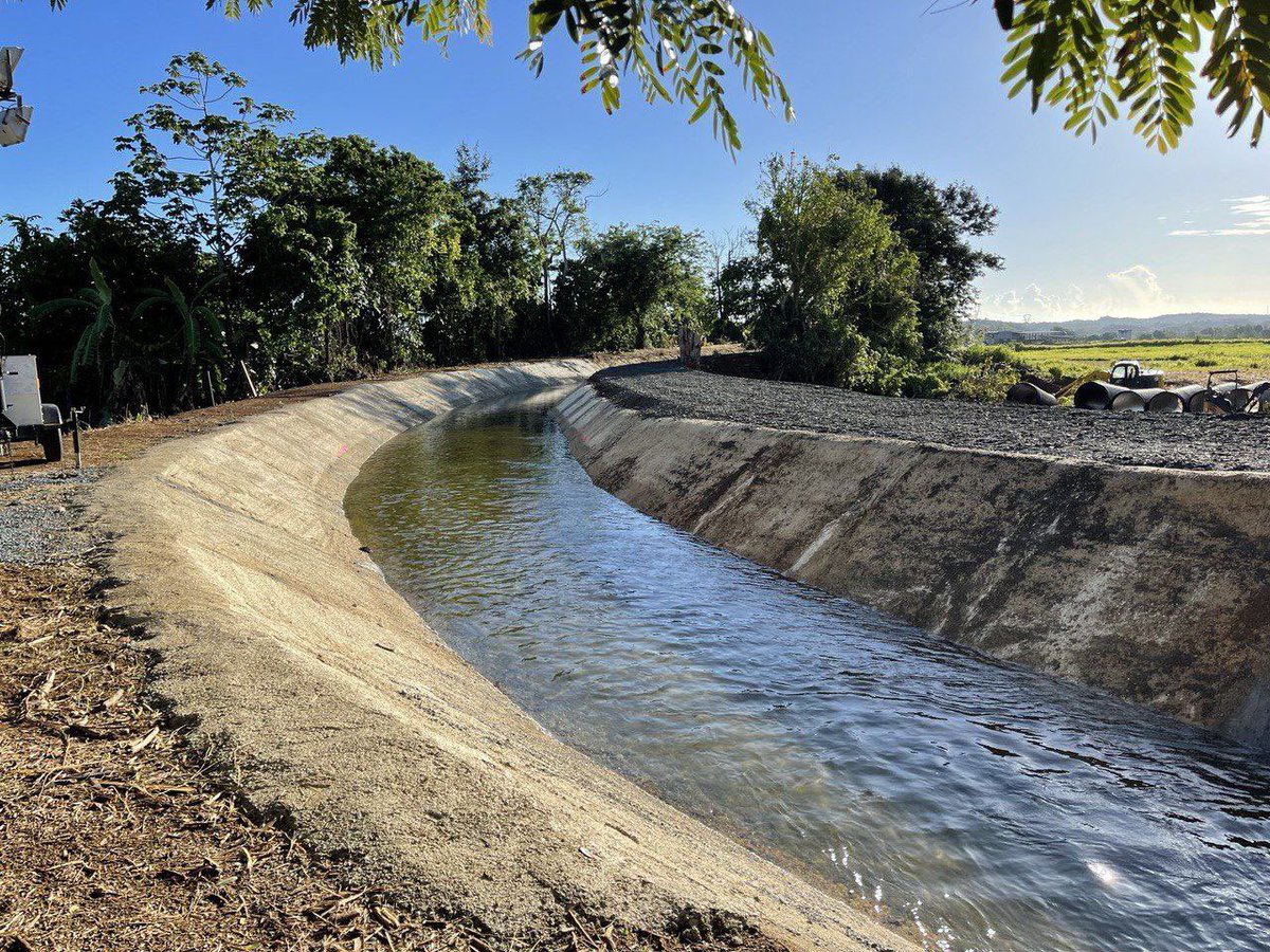 Autoridad de Energía Eléctrica tweet media