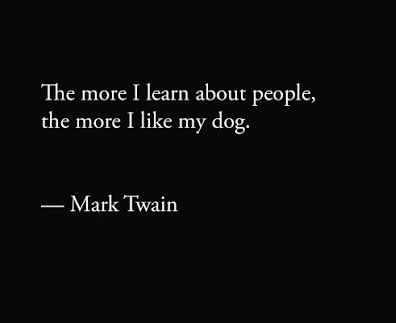 𝕍𝕖𝕝𝕂𝕒𝕟 🐺 tweet media