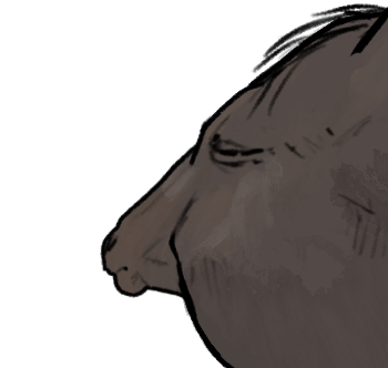 𝖒𝖚𝖑𝖑 tweet media