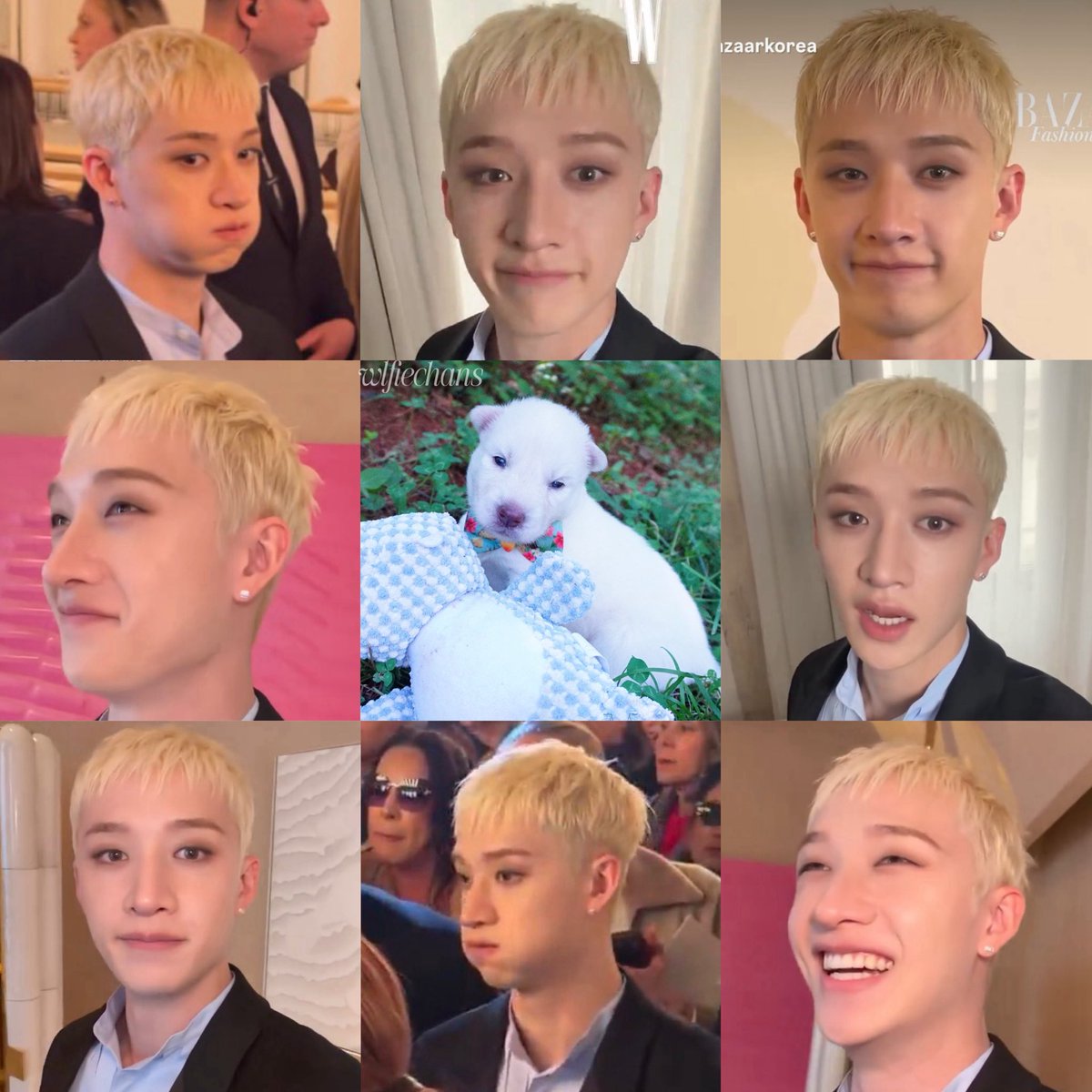 he is Puppy