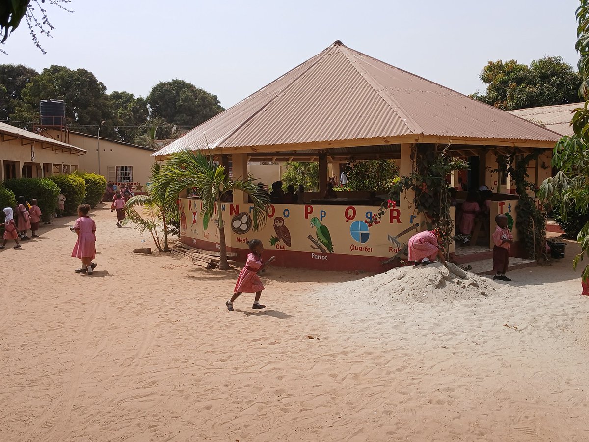 Harald Steenhuis tweet media