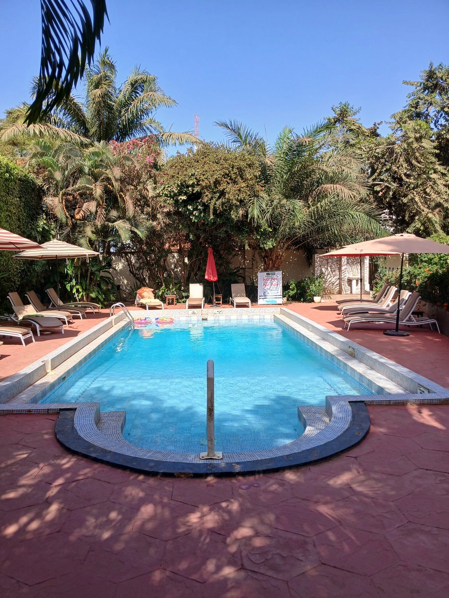 Harald Steenhuis tweet media