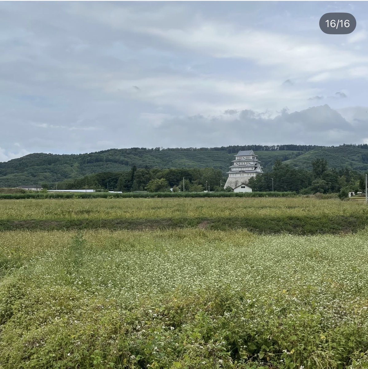 Max Chan.マックX・ちゃん tweet media