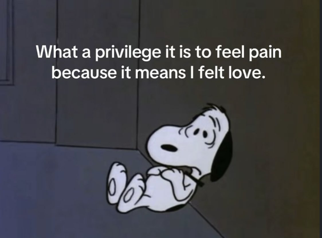 snoopy lover (@snoopyfever_) on Twitter photo 