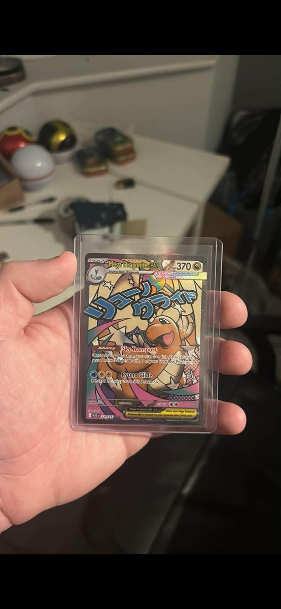 Max 🐻 tweet media