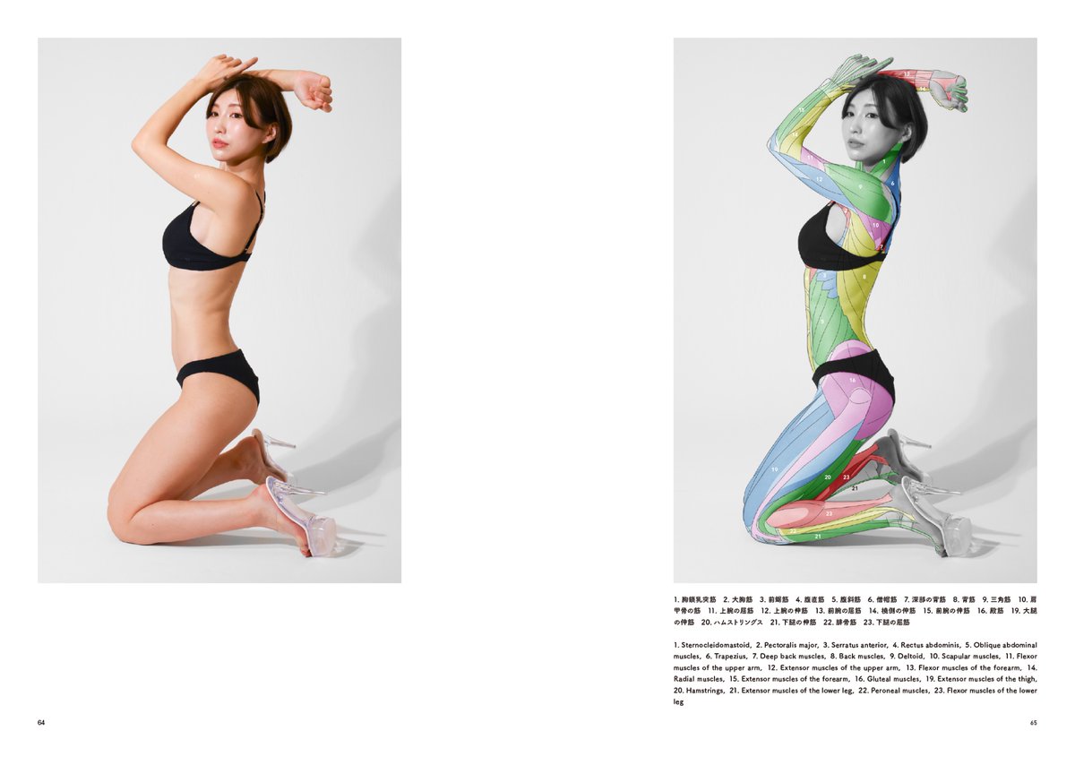 『アーティストのための体表解剖学11』
PDF版　好評発売中！

立ったり、座ったり、寝そべったり、グラビアなどのポーズが合計50種類✨

PDF版では片面ページと見開きページの２種類のデータをダウンロードいただけます！

anatomytutorials.booth.pm