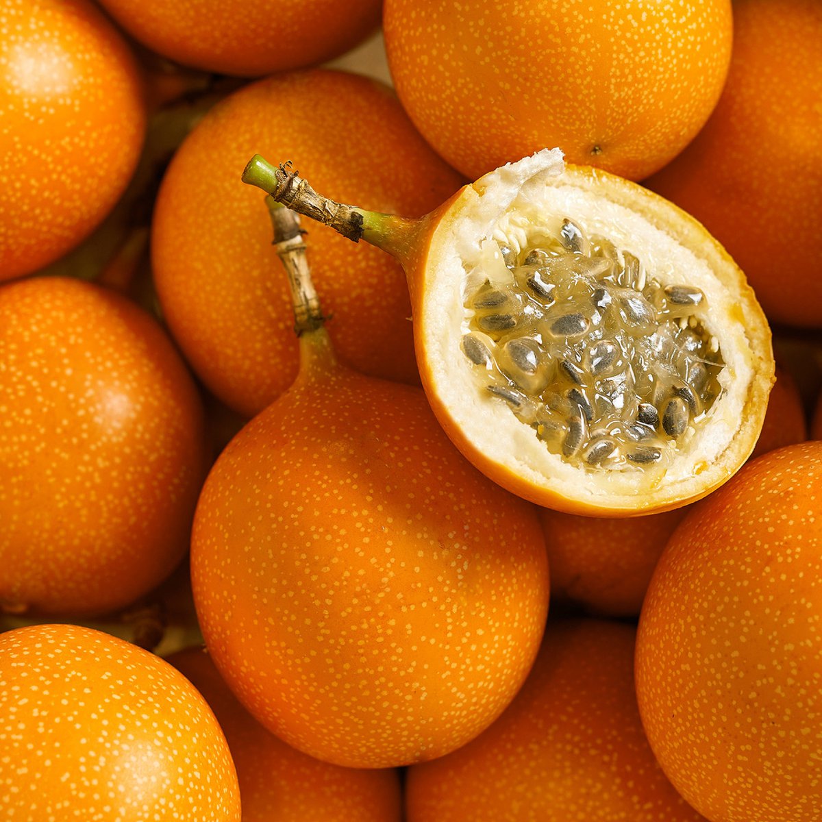 Agromercado_'s tweet photo. #Pasco | Con el objetivo de elevar la competitividad de la granadilla de #Oxapampa, #Agromercado del Midagri desarrolló una charla técnica en poscosecha dirigida a productores organizados, enfocada en optimizar procesos y ampliar oportunidades de comercialización. https://t.co/YtIQXx354G