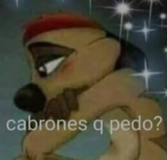 bellacosadboy's tweet photo. mood https://t.co/l8kYKJArvn