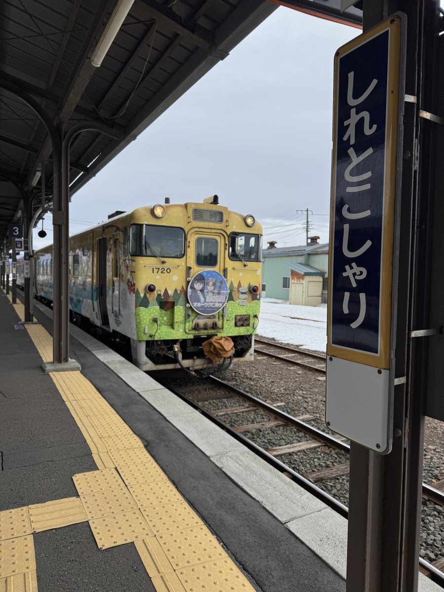sawanagi＠Webの海にDIVE 🔰🌈🌊 tweet media