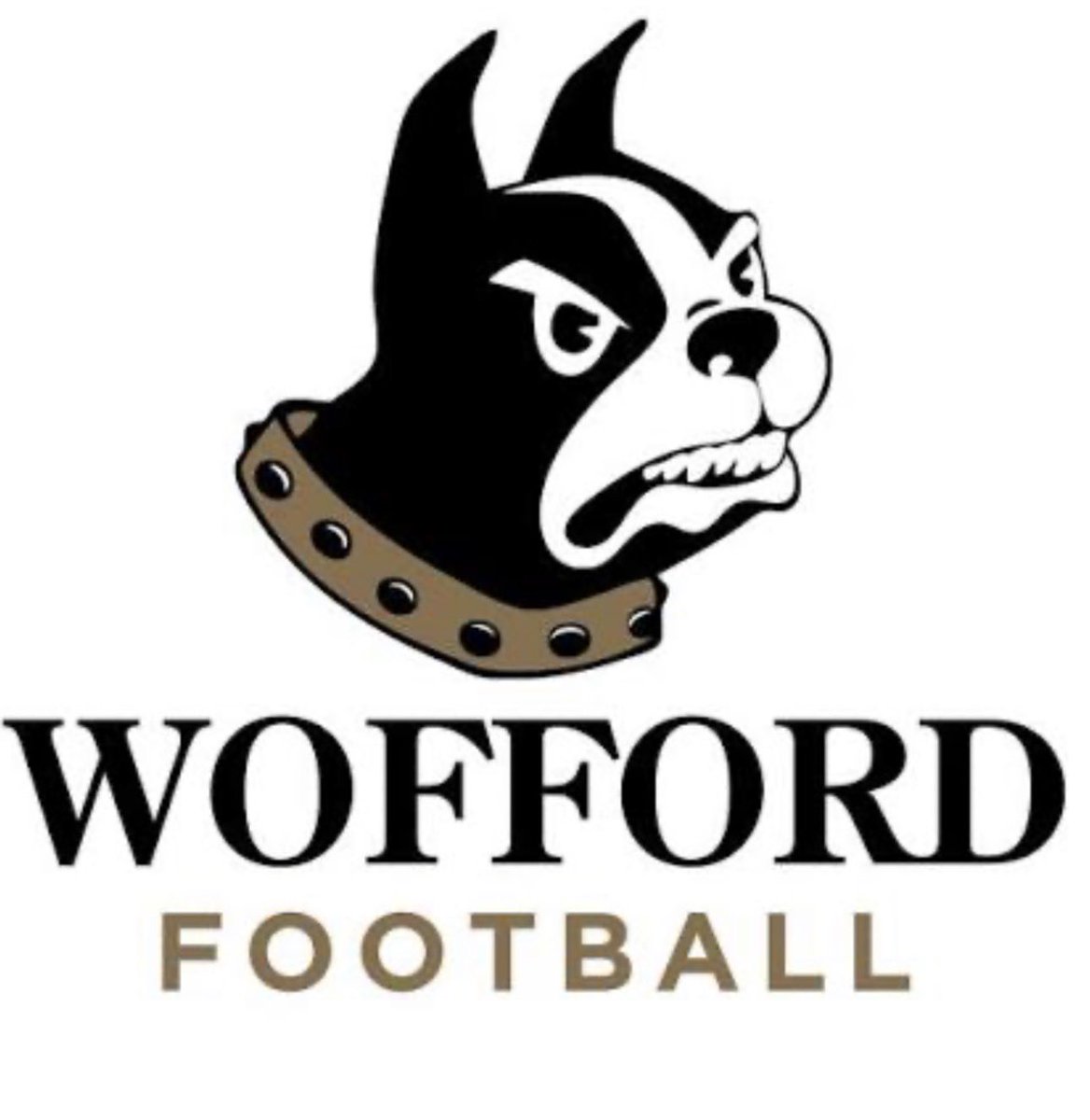 ⭐️ ⭐️⭐️Demond Green tweet media