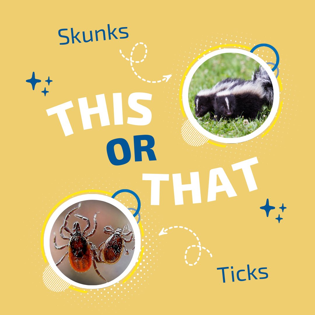 Big Blue Bug tweet media