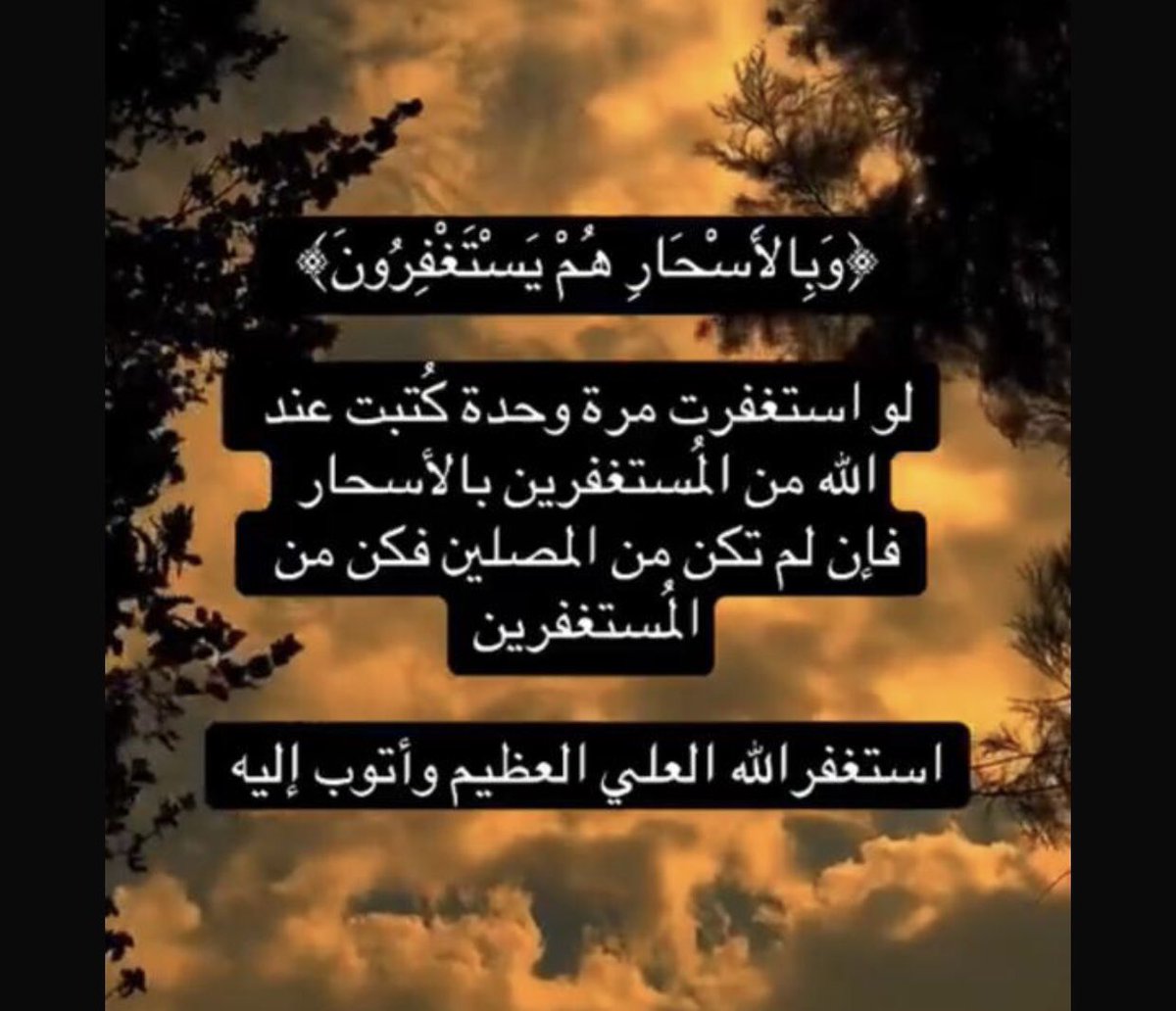 شيوخ 🇸🇦 tweet media