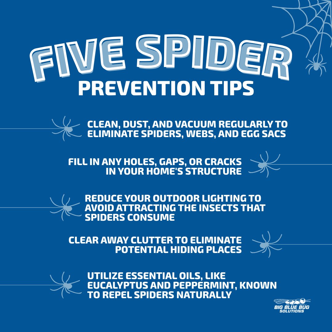 Big Blue Bug tweet media