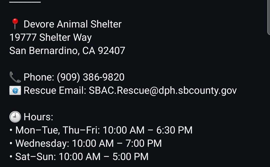 8415_n's tweet image. MATTHEW #A836156
6yo.#labrador mix #labrescue #labradorrescue 
He's full of life &amp;amp; joy, craving attention &amp;amp; affection, happily greeting visitors coming to see him.
#Devore #SanBernardino #socal #norcal #pnw
#PLEDGE
#FOSTER @ NO cost‼
#ADOPT anywhere 🇺🇲
👇
instagram.com/reel/DU38Mn3Ep…