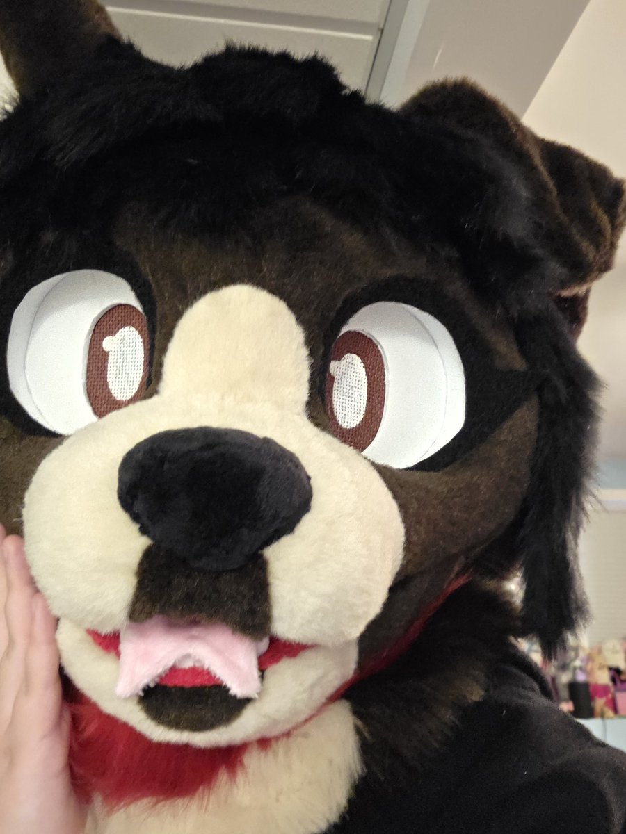 TiredGremlin335 tweet media