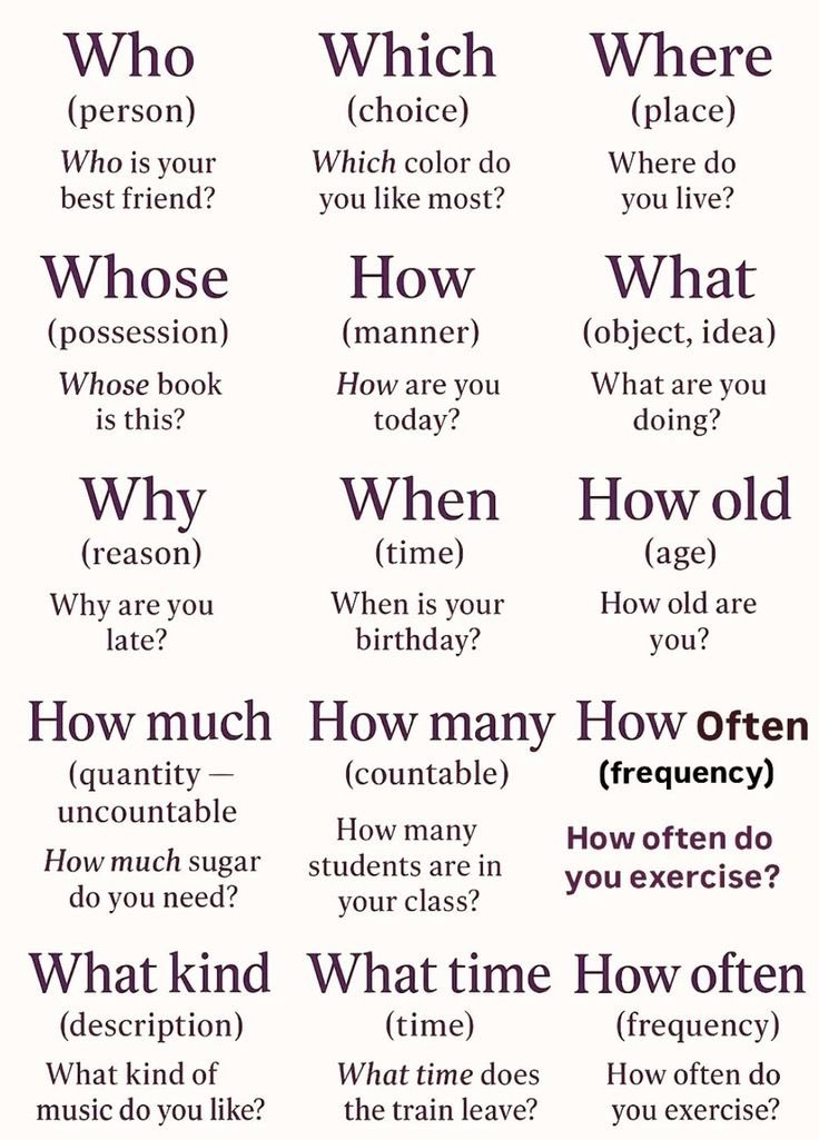 Learn Something New tweet media