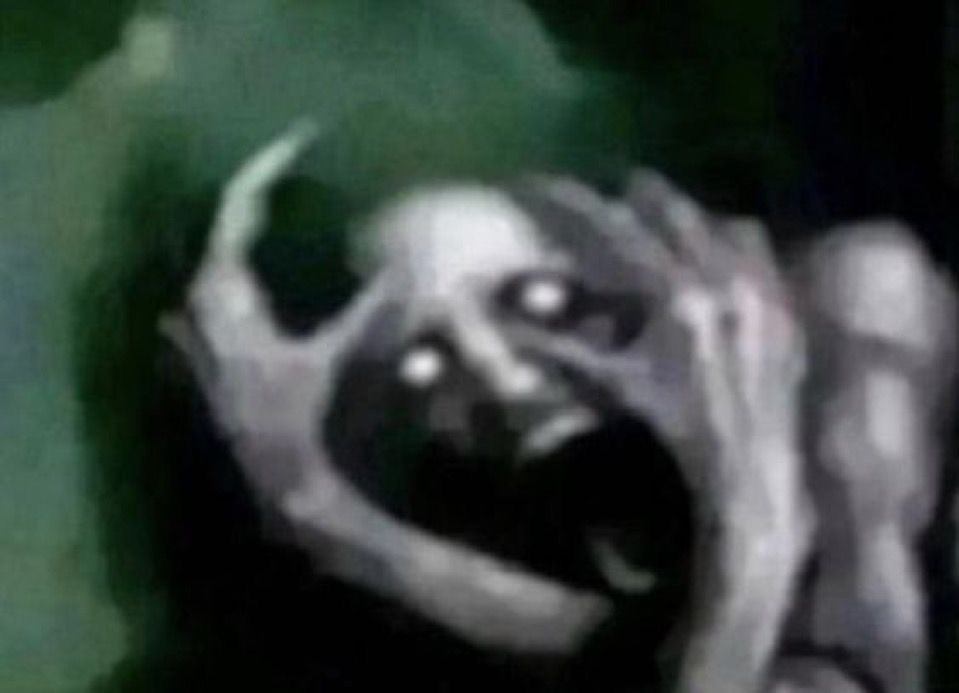 🇮🇷Akuma⁷⊙⊝⊜ tweet media