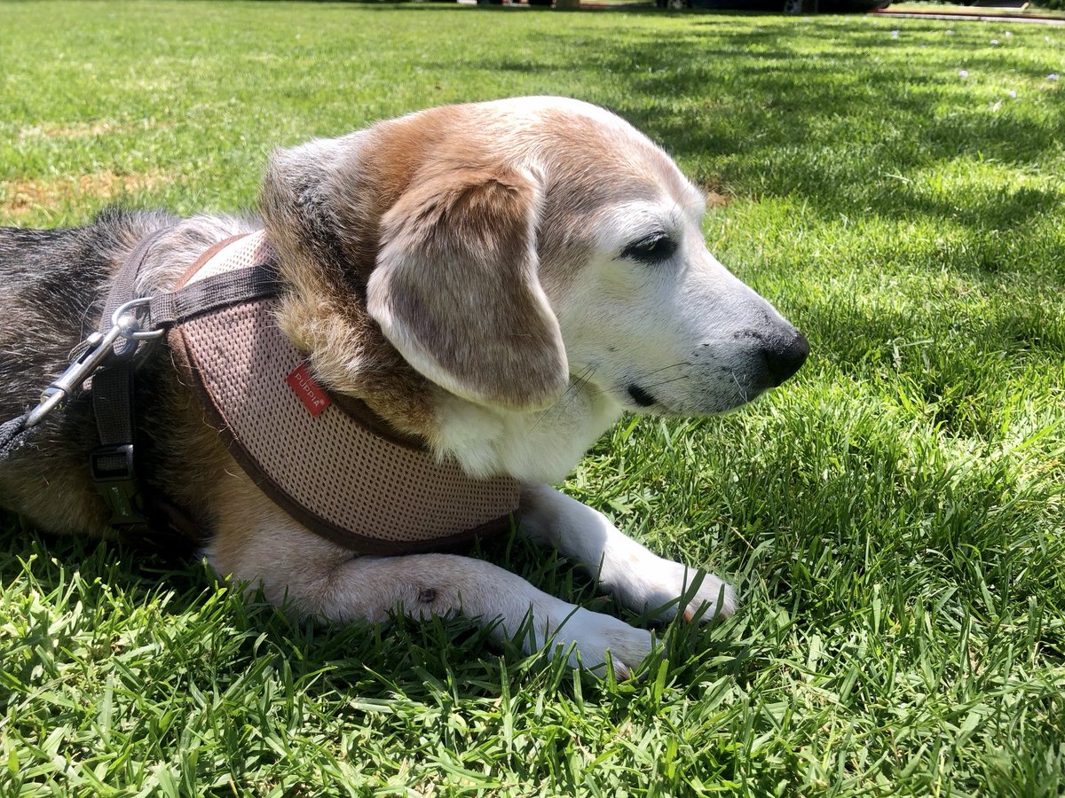 Hapeey Fryday 🤎😇🐾