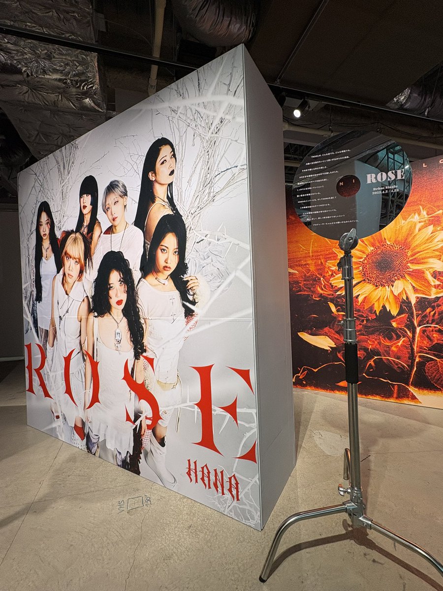 広瀬アリスさんがもし見たらきっとテンションの上がる写真シリーズ① M