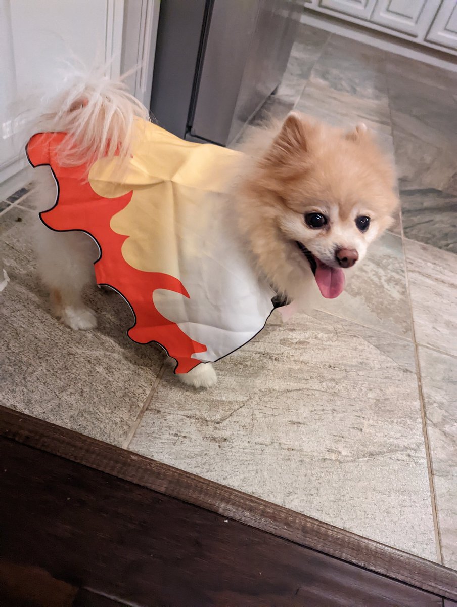 Cocobun 🐰🎧 Vtuber tweet media