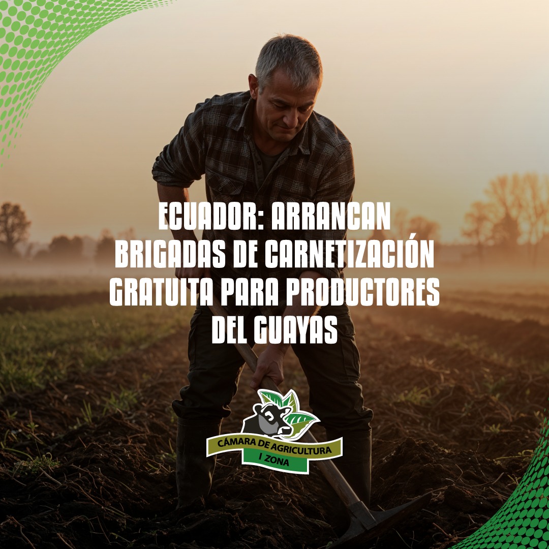 🌾📇 Inician brigadas de carnetización gratuita para productores agropecuarios del Guayas, facilitando su acceso a asistencia, programas institucionales y apoyo técnico.

✨ Si el agro crece, el Ecuador crece. 🇪🇨

#CAIZ #AgroEcuador #Carnetización #Productores