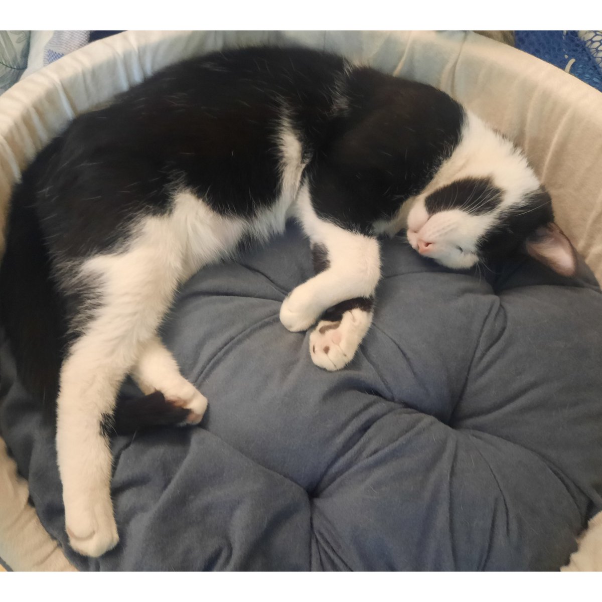 جای خواب ایو tweet media