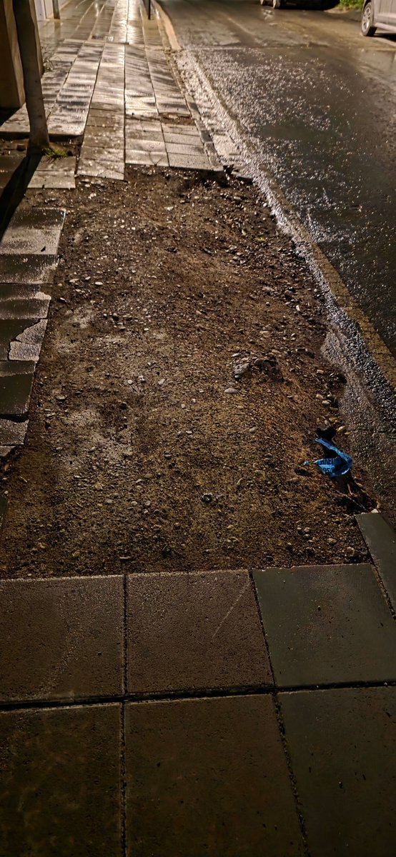 Orange King...🧡👑🍻 tweet media