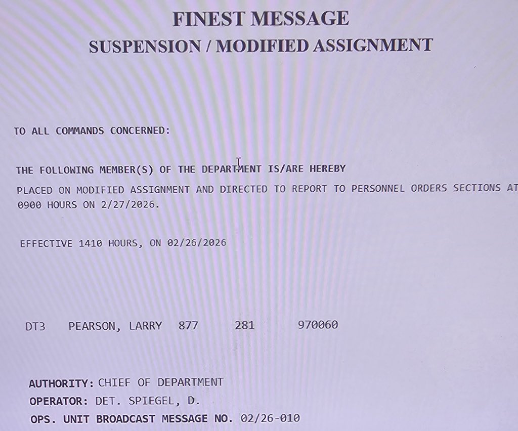 TheSalGreco tweet media