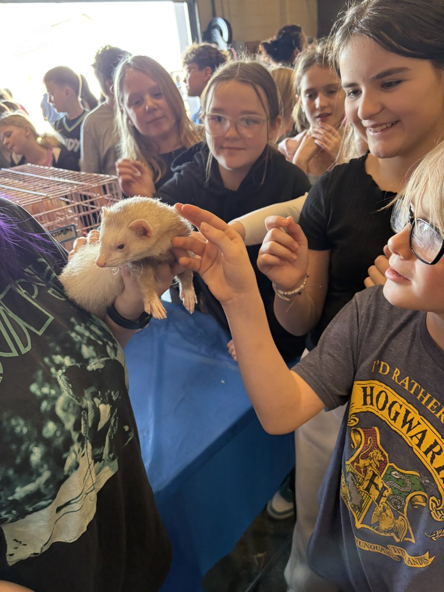 Renee Shoemaker tweet media