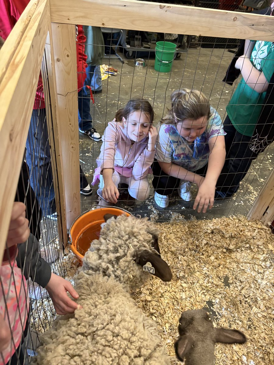 Renee Shoemaker tweet media