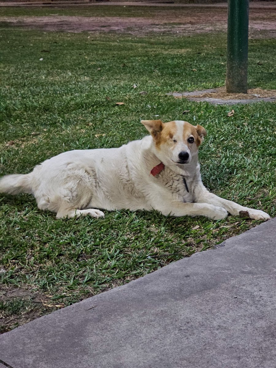 saltenials tweet media