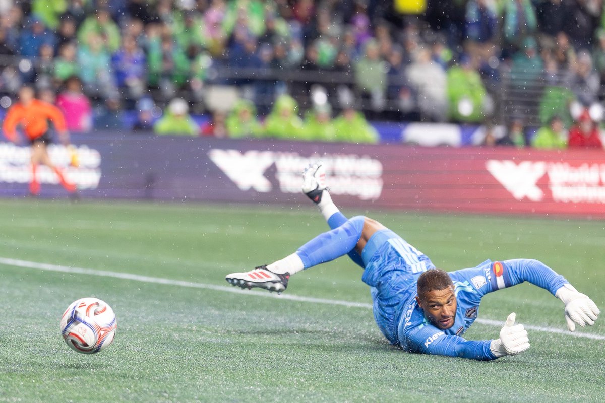 Melissa Levin Photography tweet media