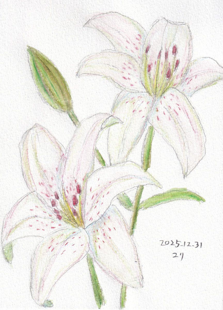 好きな花の名前を挙げてTLをお花畑にする ユリ