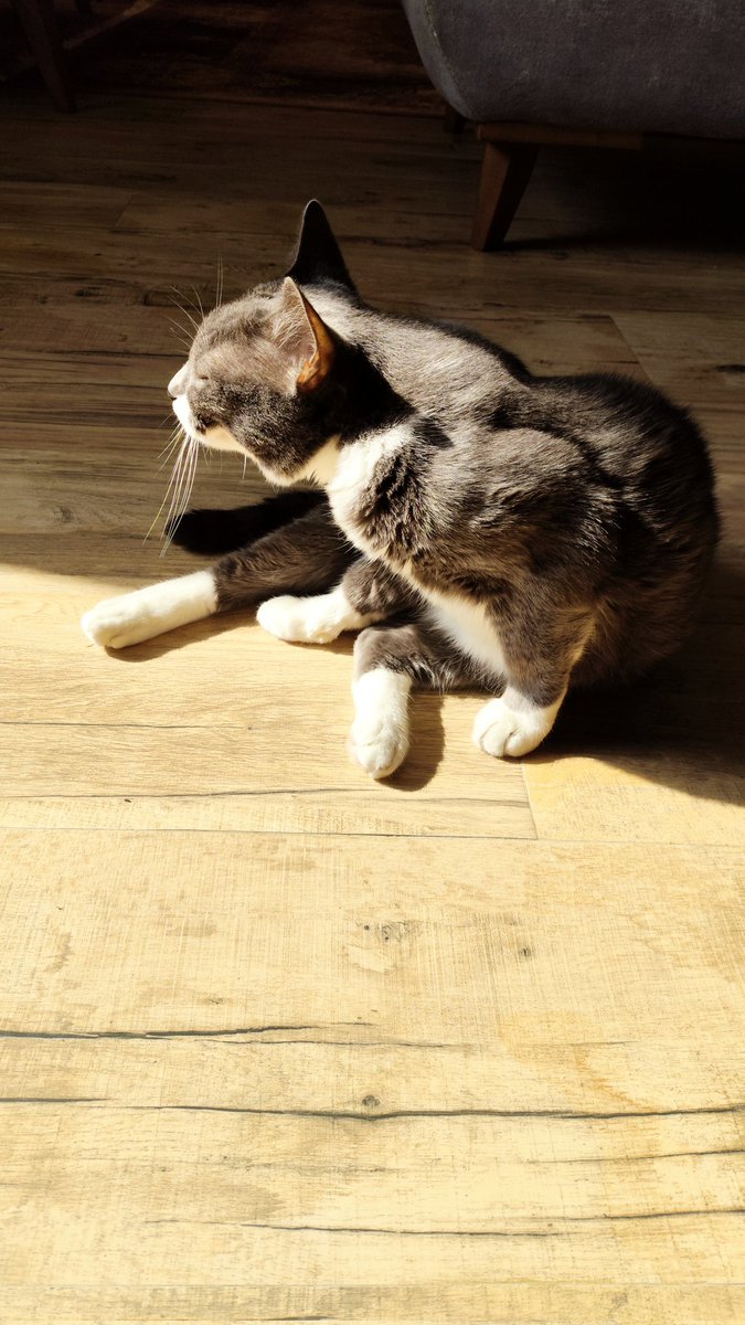 گلی‌ شهر ٱز 💚💎 tweet media