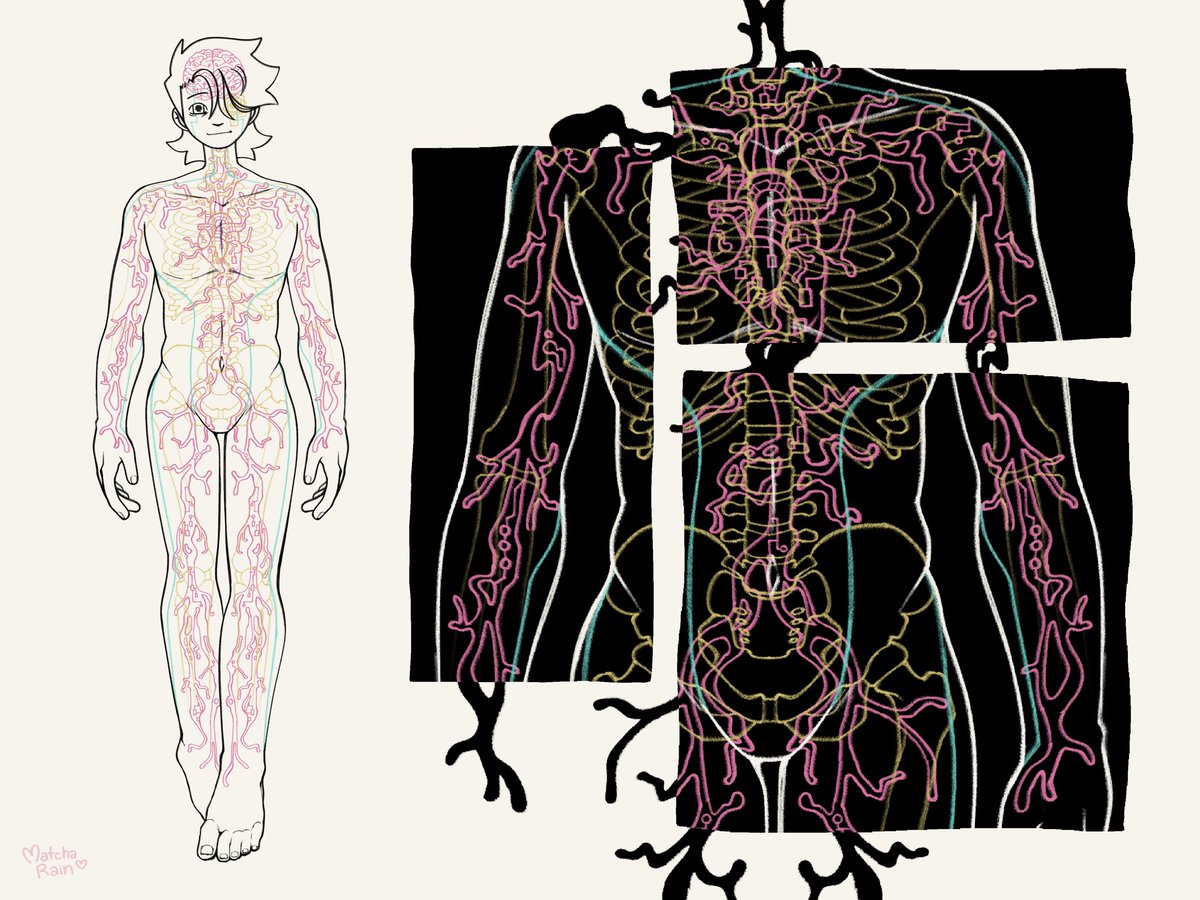 matcha_rains's tweet image. beneath skin and carapace

#AndreW2002 #Assimilation #WeirdFishesAU