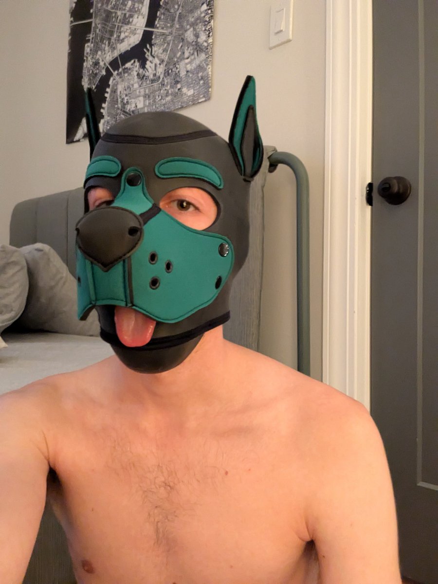 fishnudies tweet media