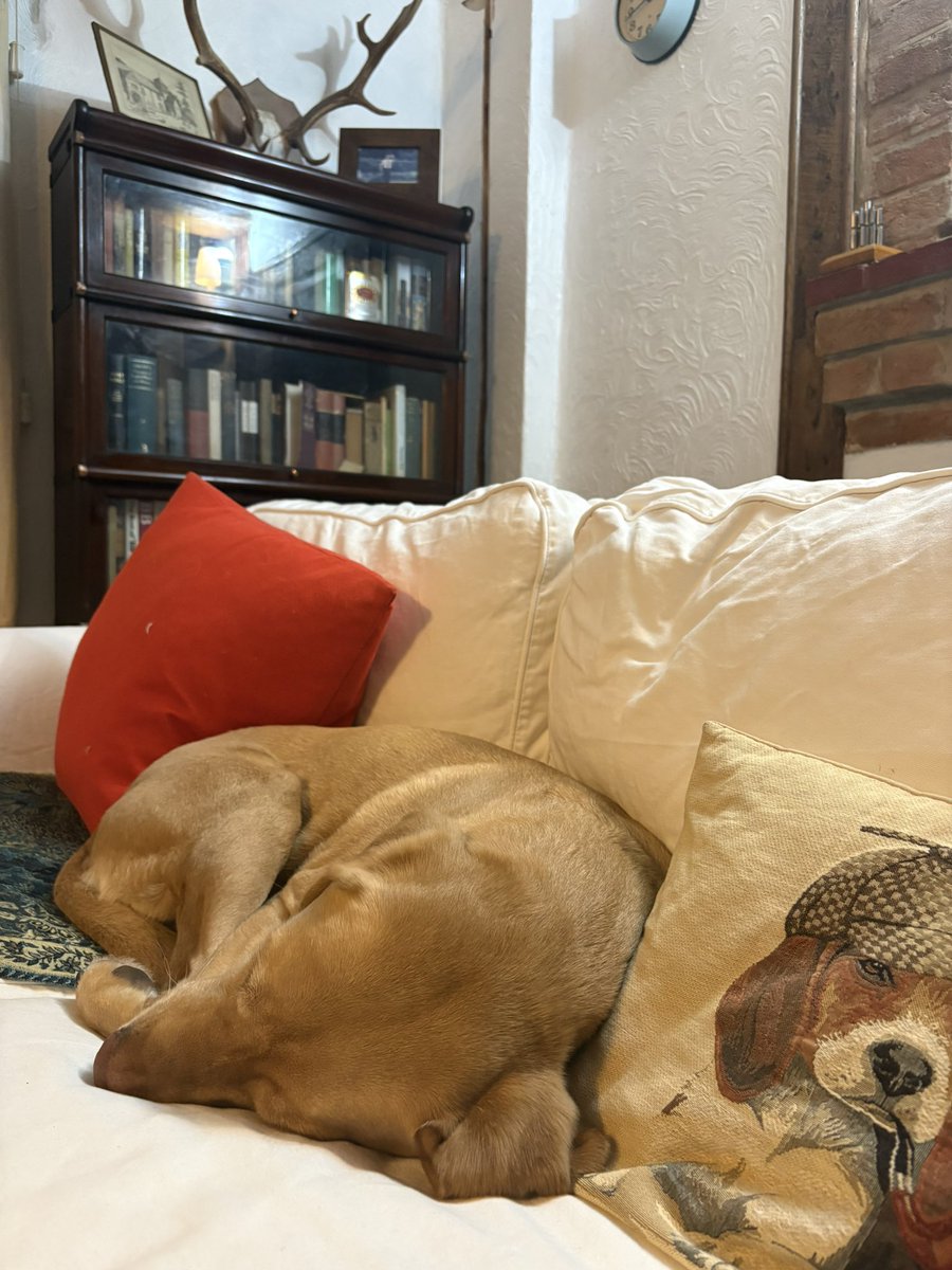 James Clark tweet media