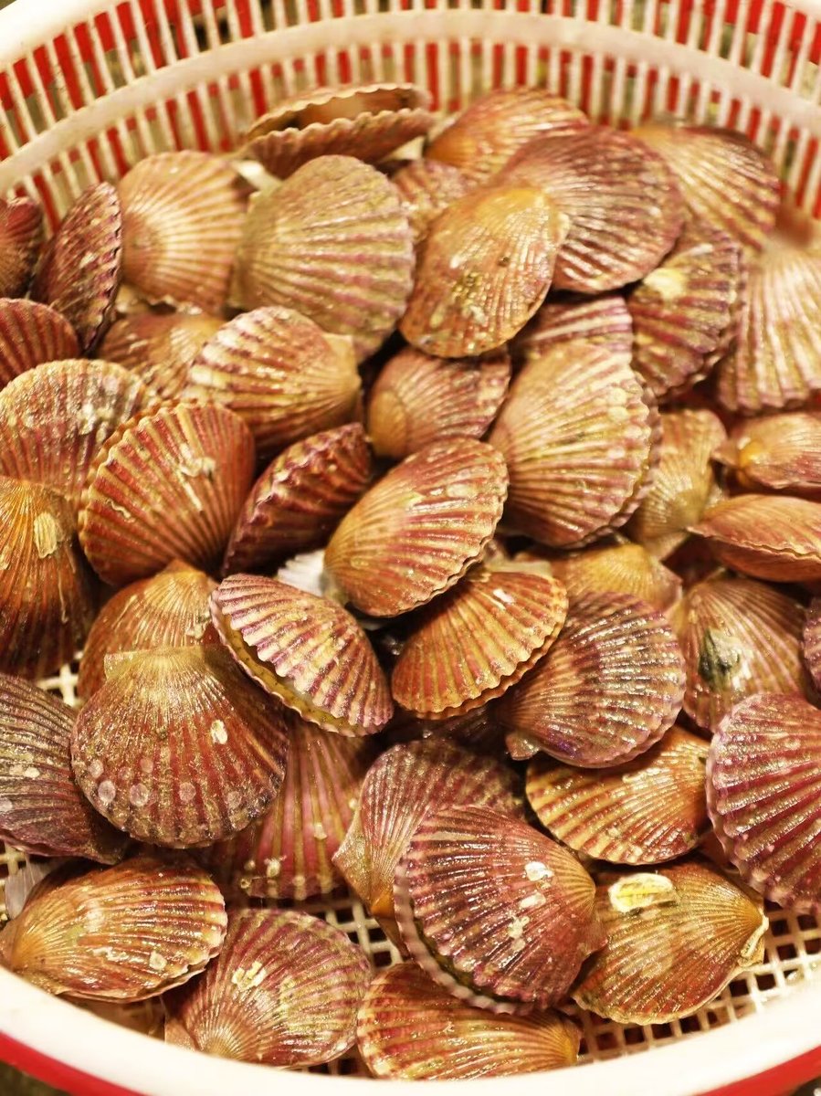 Discover Yantai tweet media