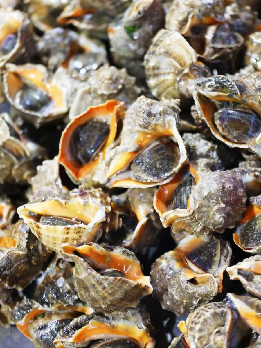 Discover Yantai tweet media