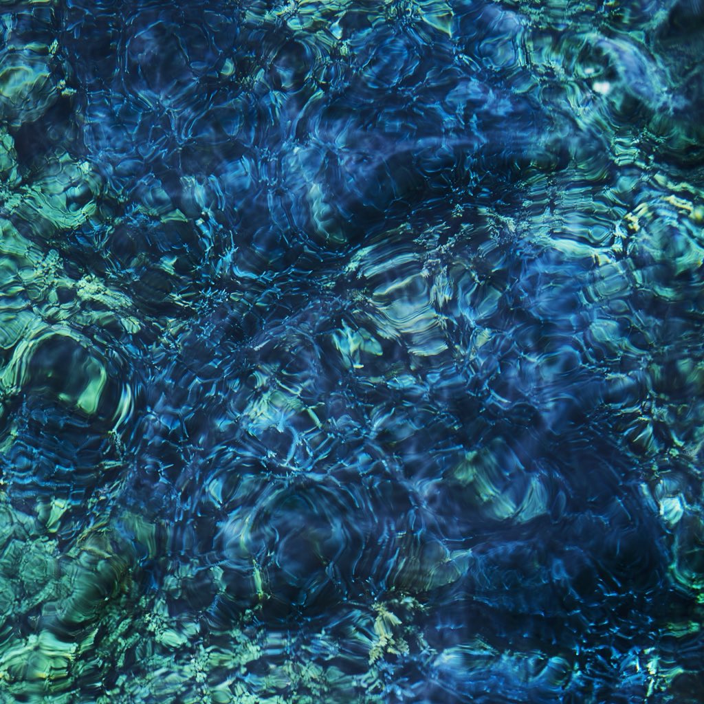 Happy 1st Birthday 🎂