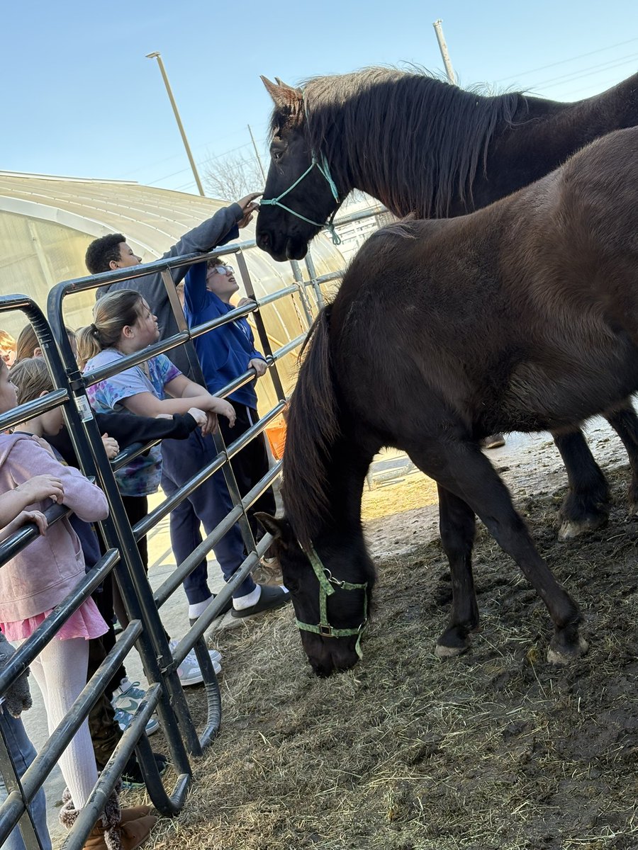 Renee Shoemaker tweet media