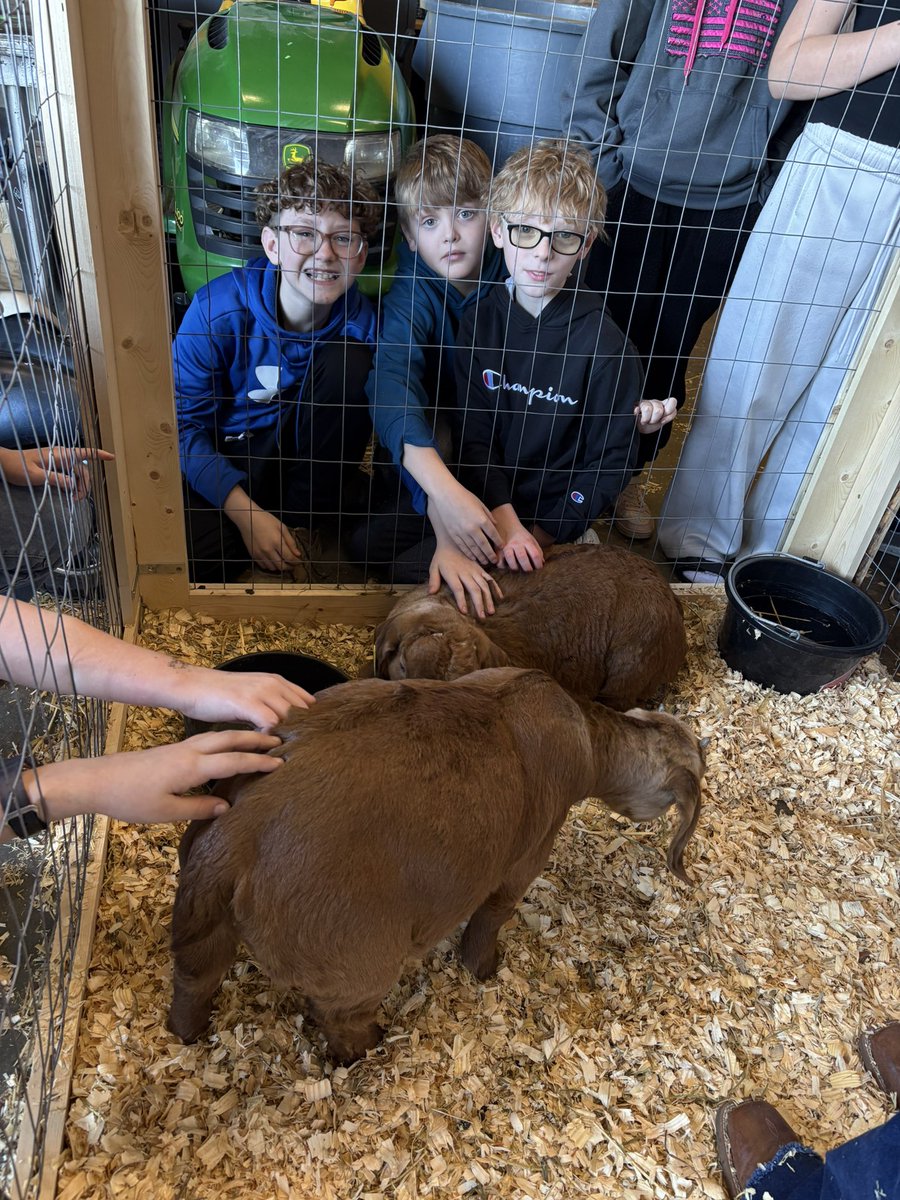 Renee Shoemaker tweet media